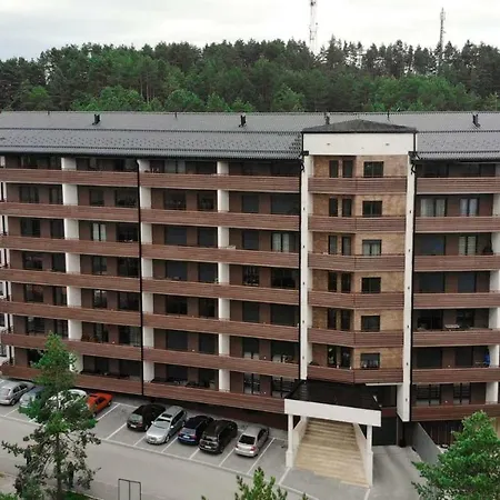 Vila Pekovic Apartman P8 Apartment Zlatibor