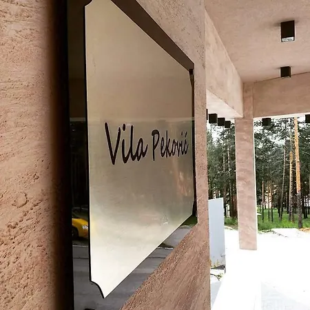 Vila Pekovic Apartman P8