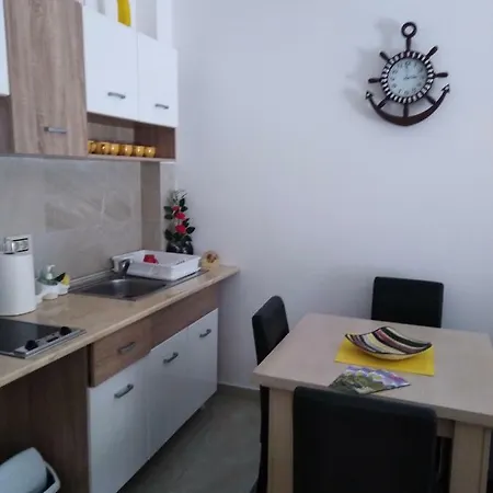 Vila Pekovic Apartman P8