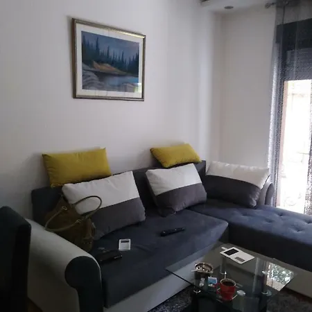 Vila Pekovic Apartman P8 *