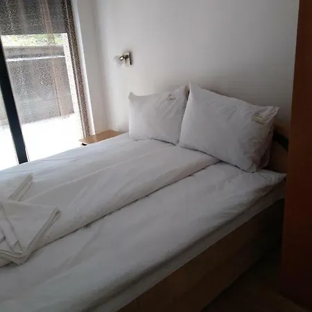 Apartment Vila Pekovic Apartman P8 Zlatibor