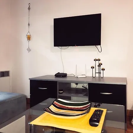 Vila Pekovic Apartman P8 Apartment